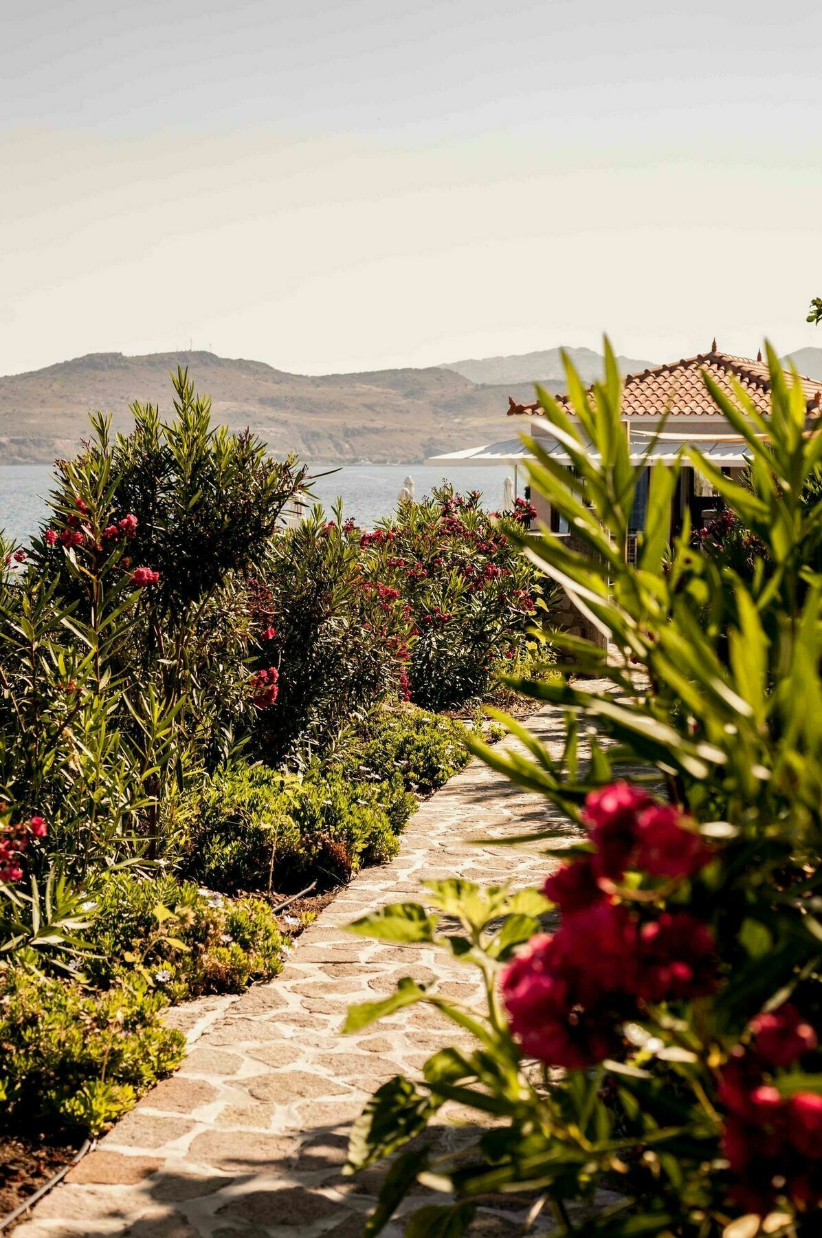 Little Bird Daire Petra  Dış mekan fotoğraf